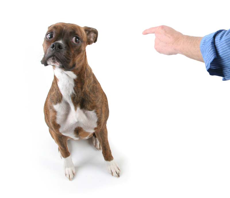 waste collection Office waste